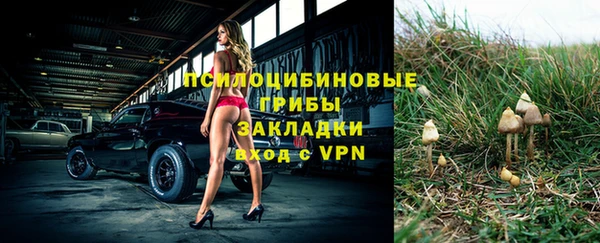 Альфа ПВП Зерноград
