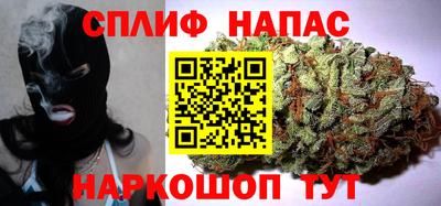 прущие грибы Апрелевка