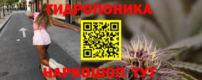 трава Аргун