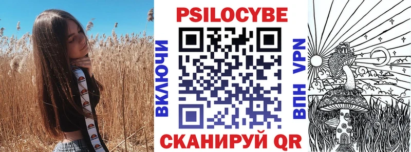 Галлюциногенные грибы Psilocybe  наркотики  Выборг 