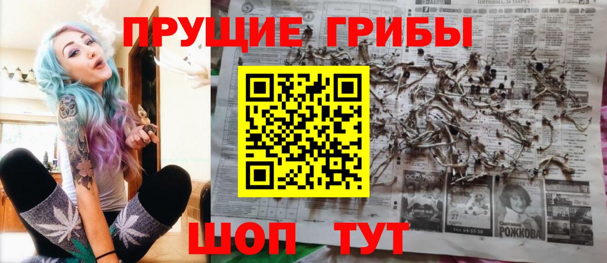 Галлюциногенные грибы Psilocybine cubensis  Вход с VPN  как найти наркотики  Выборг 