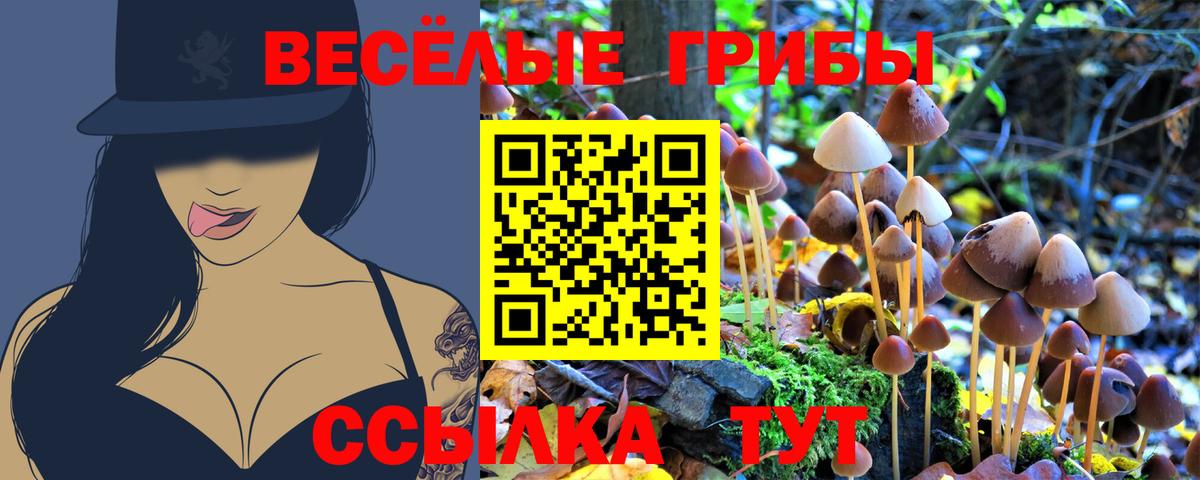 Псилоцибиновые грибы прущие грибы  Выборг  Галлюциногенные грибы Magic Shrooms 