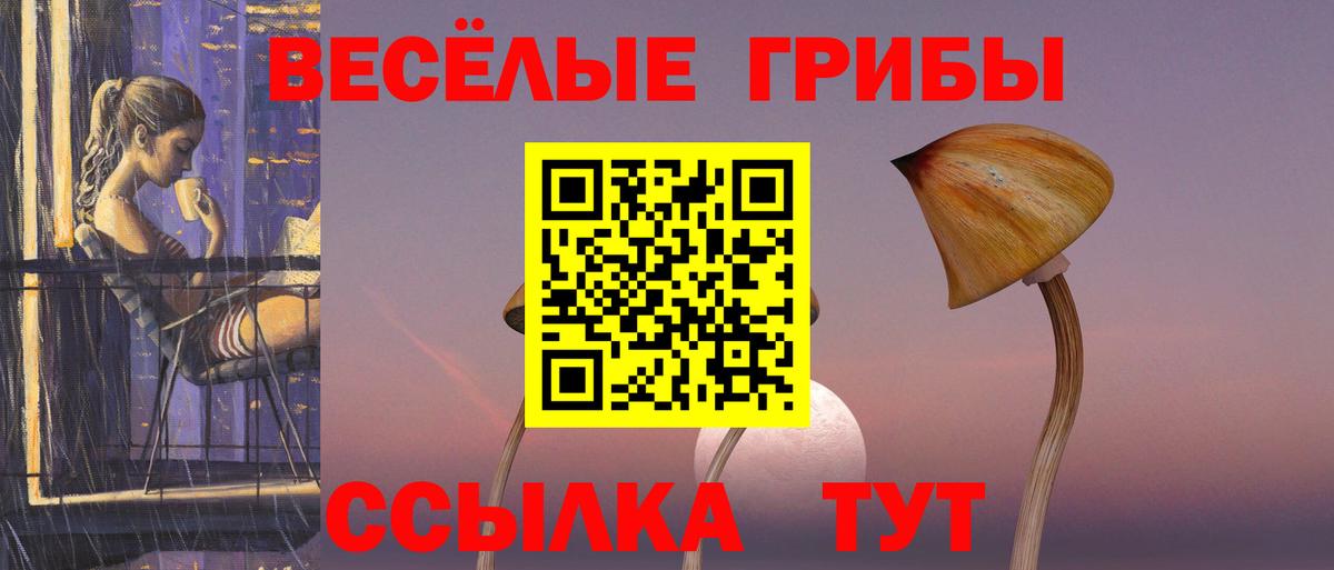 Галлюциногенные грибы мухоморы Выборг